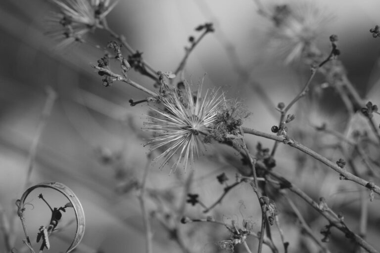 featured-image