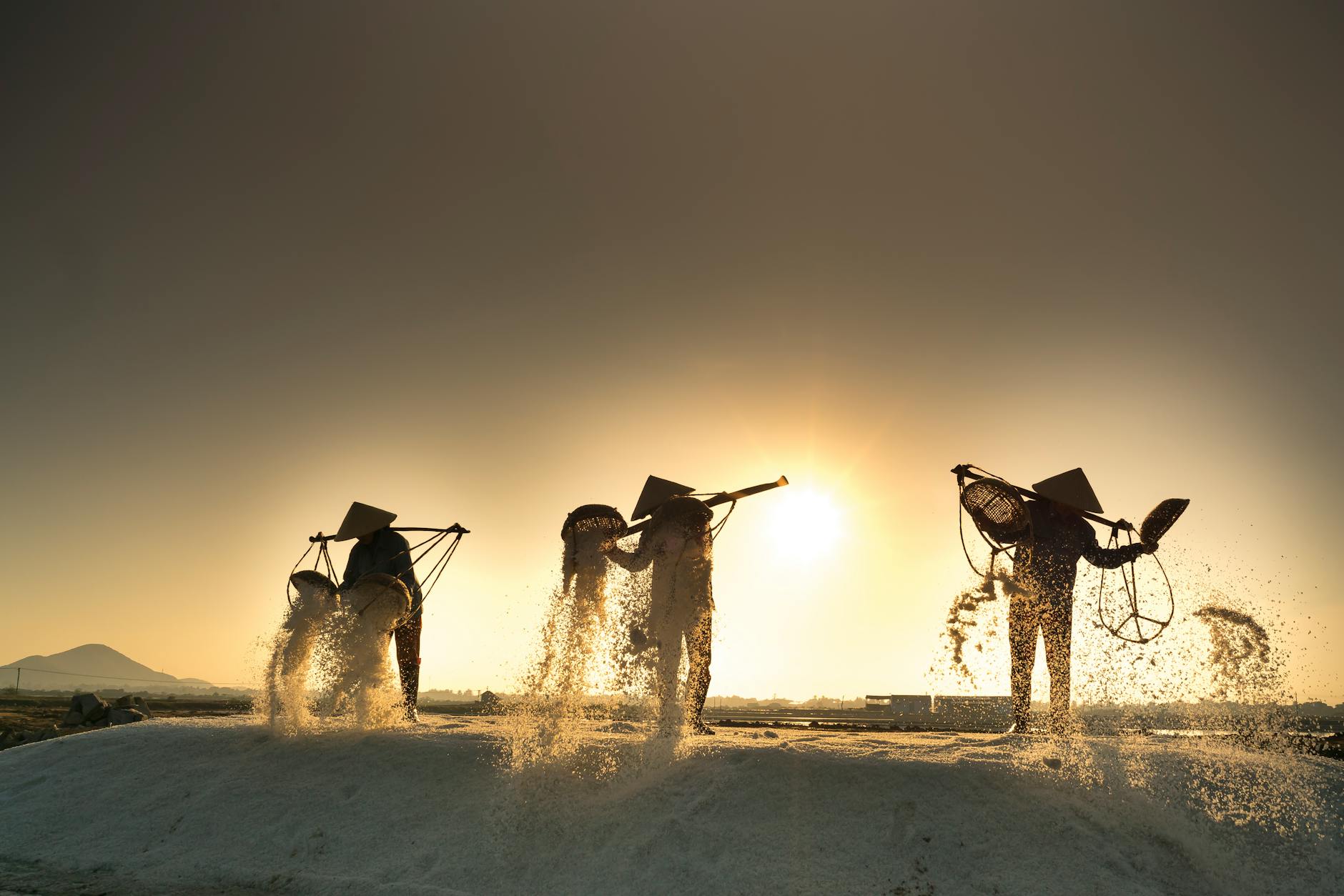 featured-image